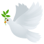 :dove: 🕊️