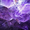 track avatar