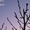track avatar