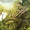 track avatar