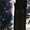 track avatar