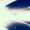 track avatar