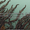 track avatar