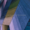 track avatar