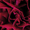track avatar