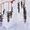 track avatar