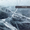 track avatar