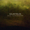 track avatar