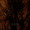 track avatar