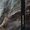 track avatar