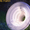 track avatar