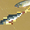 track avatar