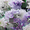 track avatar