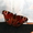 track avatar