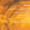 track avatar